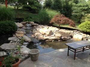 Pond Customization with Stones and Plants