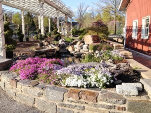 Pond Enhancement with Flowers, Plants, and Home