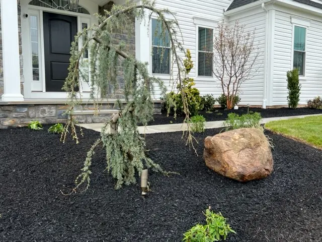 A plant in front of a house with a big stone and some bushes