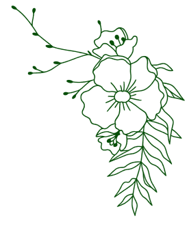 Floral line art on black background