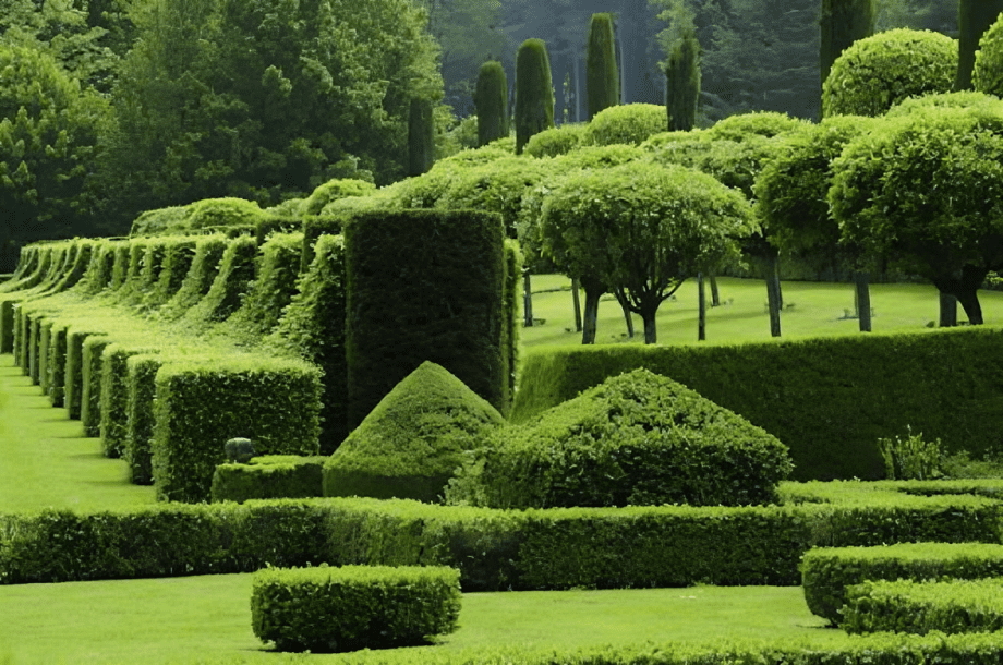 Symmetrical hedge designs in a garden